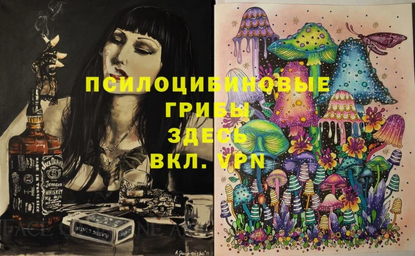 крисы Белокуриха