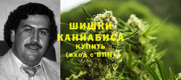 ГАЛЛЮЦИНОГЕННЫЕ ГРИБЫ Белоозёрский