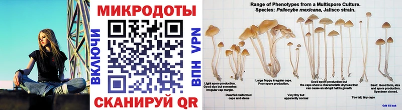 где можно купить   Верхотурье  даркнет телеграм  Псилоцибиновые грибы Magic Shrooms 